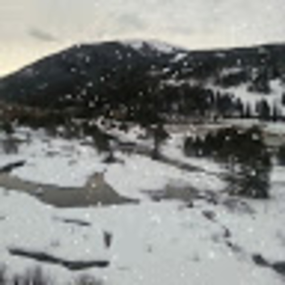 Meet your Posher, Cherry